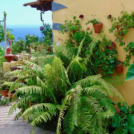 Casa Rosa *